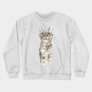 Tabby Cat Crewneck Sweatshirt